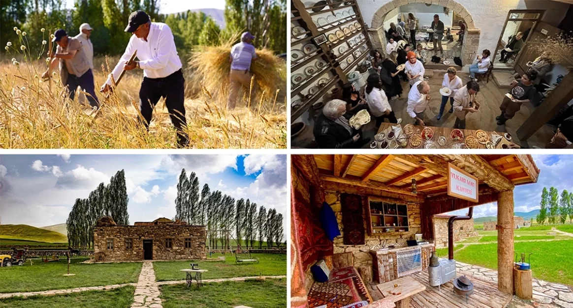 Kenan Yavuz Web 7 copy 2